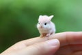 Tiny Cute baby rabbit. Generate Ai