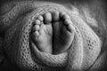 Soft feet of a newborn in a blancket. Close-up of toes, heels and feet of baby. Black and white studio macro photography Royalty Free Stock Photo