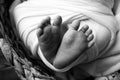 Soft feet of a newborn in a blancket. Close-up of toes, heels and feet of baby. Black and white studio macro photography Royalty Free Stock Photo