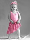 Tiny Dancer Royalty Free Stock Photo