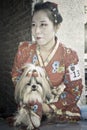 Tiny Dog Wears chinese Costume For contest