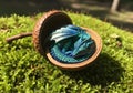 Tiny Dragon Sleeping in Cracked Acorn Shell on Moss Royalty Free Stock Photo