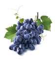 Tiny dry blue grapes bunch leaves on white Royalty Free Stock Photo