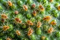 Tiny EightLegged Bryobia Mites Infesting Plant Surface Microscopic Damage Royalty Free Stock Photo