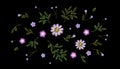 Tiny field flower realistic embroidery. Wild herbs daisy textile print decoration black fashion traditional vector