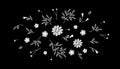 Tiny field flower realistic embroidery. Wild herbs daisy textile print decoration black fashion traditional vector