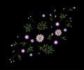 Tiny field flower realistic embroidery. Wild herbs daisy textile print decoration black fashion traditional vector