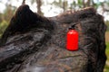 Tiny fire extinguisher figurine on a burnt tree Royalty Free Stock Photo