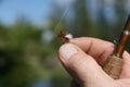 Tiny fishing fly Royalty Free Stock Photo