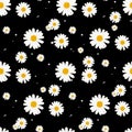 Tiny flowers seamless pattern, vector, black and white. Abstract floral background, vector illustration Royalty Free Stock Photo