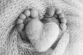 The tiny foot of a newborn baby. Soft feet, Knitted heart in the legs of baby.