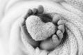 The tiny foot of a newborn baby. Soft feet of a new born in a wool blanket.