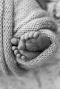 The tiny foot of a newborn baby. Soft feet of a new born in a wool blanket. Royalty Free Stock Photo