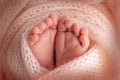 The tiny foot of a newborn. Soft feet of a newborn in a pink woolen blanket.