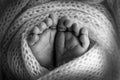 The tiny foot of a newborn. Soft feet of a newborn in a woolen blanket Royalty Free Stock Photo