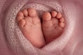 The tiny foot of a newborn. Soft feet of a newborn in a pink blanket. Royalty Free Stock Photo