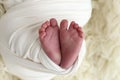 Tiny foot of a newborn. Soft feet of a newborn on a white background.