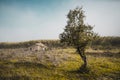 A tiny forsaken house in the field