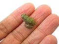 Tiny frog