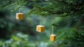 Tiny gift boxes hanging on a Christmas tree branch . Royalty Free Stock Photo