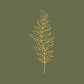 Tiny golden leaf logo or label template. Single sketch