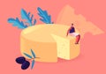 Tiny Gourmet Female Character Sitting on Huge Round Block of Fresh Yellow Cheese with Olives. Dairy Culinary Production