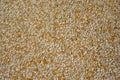 Tiny gravel texture on brown concrete wall. Texture background seamless gravel floor Royalty Free Stock Photo