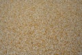 Tiny gravel texture on brown concrete wall. Texture background seamless gravel floor Royalty Free Stock Photo