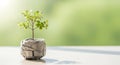Small vibrant plant in recycled newspaper pot shines brightly Royalty Free Stock Photo