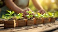 Tiny green seedlings growing in wooden pots on a table Royalty Free Stock Photo
