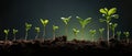 Tiny Green Seedlings Sprouting, Forming A Growth Graph