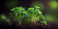 Tiny green sprout on a black soil with sun, panorama, AI Generated Royalty Free Stock Photo