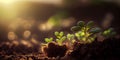 Tiny green sprout on a black soil with sun, panorama, AI Generated Royalty Free Stock Photo