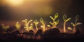 Tiny green sprout on a black soil with sun, panorama, AI Generated Royalty Free Stock Photo