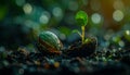 Tiny Green Sprout Emerging from Split Seed Shell in Dark Soil Royalty Free Stock Photo