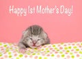 Tiny grey stripped tabby newborn kitten happy mother`s day text