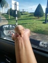 8/10/2020 Putrajaya, Beautiful Tiny hamster crawling on a hand