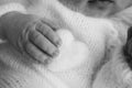 Tiny hand of a newborn baby. Soft hands of new born hold woolen heart. Royalty Free Stock Photo
