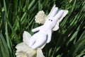 Tiny handmade leveret in flowers of daffodils