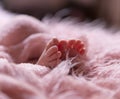 Tiny infant feet in fluffy pink blanket
