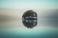 Tiny island covered by forest on the lake Royalty Free Stock Photo