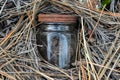 Tiny Jar Hiding in Pine Needles 1