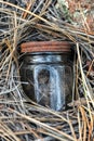 Tiny Jar Hiding in Pine Needles 1