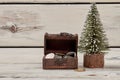 Tiny jewelry box with coins and christmas tree.