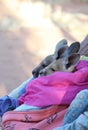 Tiny Kangaroo Joey in blankets