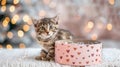 Cute tabby kitten near pink heart gift box Royalty Free Stock Photo
