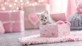 Cute silver kitten inside pastel pink gift box Royalty Free Stock Photo