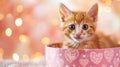 Cute ginger kitten sitting in pink heart bowl Royalty Free Stock Photo