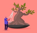 Tiny Male Character Trimming Bonsai Tree with Huge Scissors. Man Doing Gardener Works Prune and Cut Branches