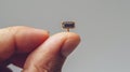 Tiny microchip on tip of human finger, on pale grey background. Copy space. Macro Royalty Free Stock Photo